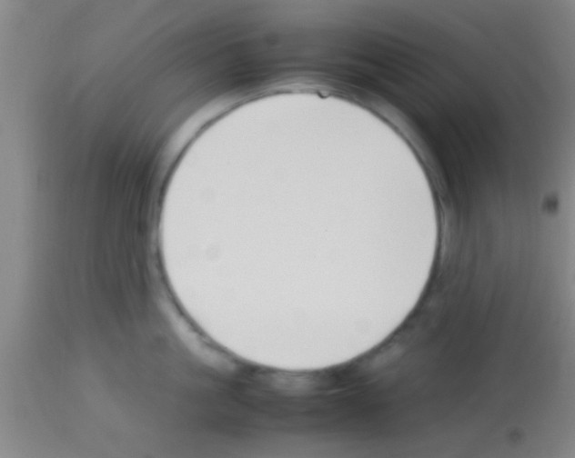 X0000113150861200910161218