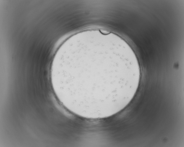 X0000113150862200910161218