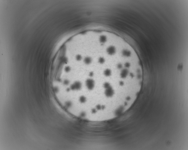 X0000113150863200910161218