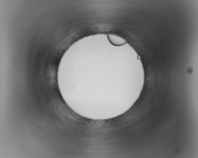 X0000113150866200910161218