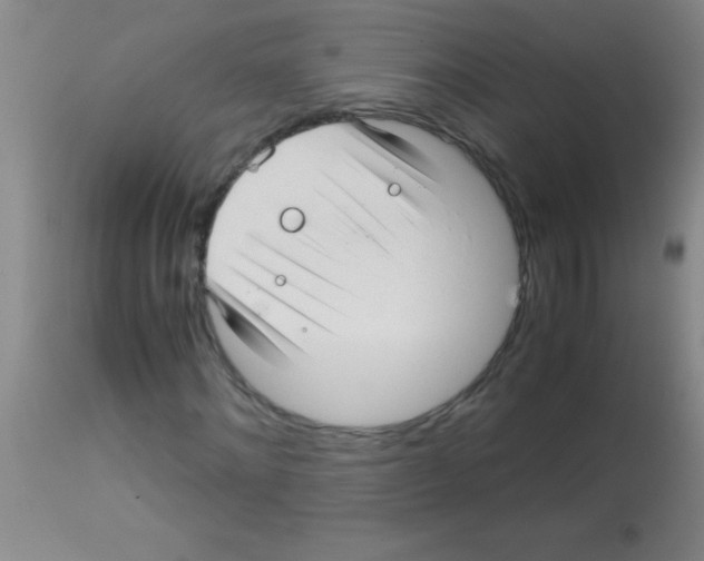 X0000113150868200910161218