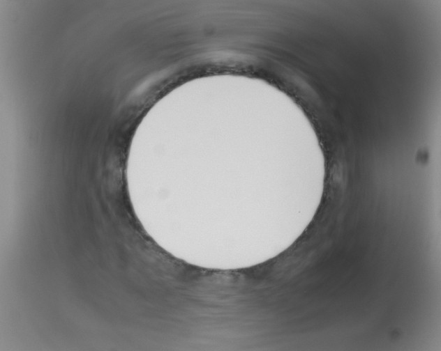 X0000113150869200910161218