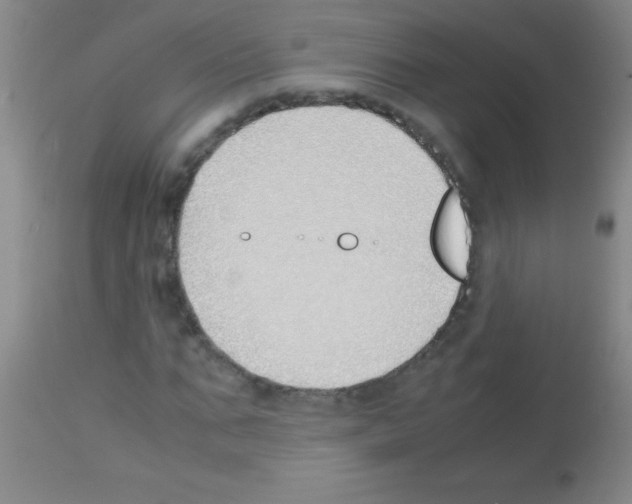 X0000113150871200910161218