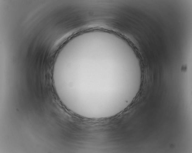 X0000113150872200910161218