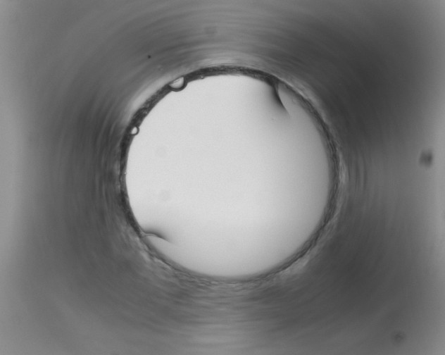 X0000113150877200910161218