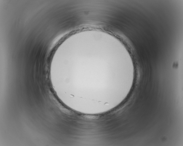 X0000113150878200910161218