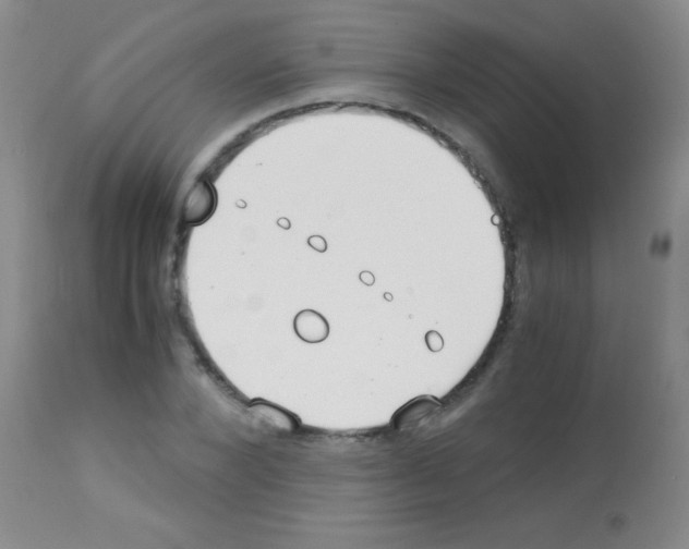 X0000113150880200910161218