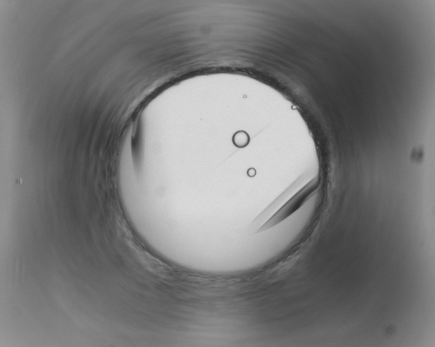 X0000113150881200910161218