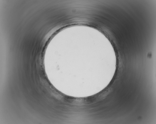 X0000113150883200910161218