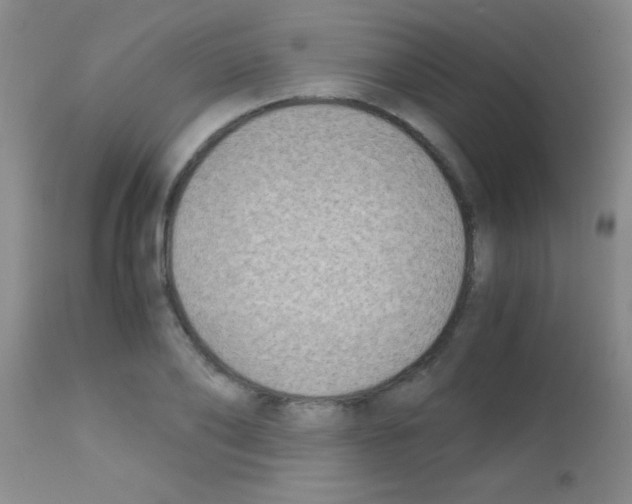 X0000113150886200910161218