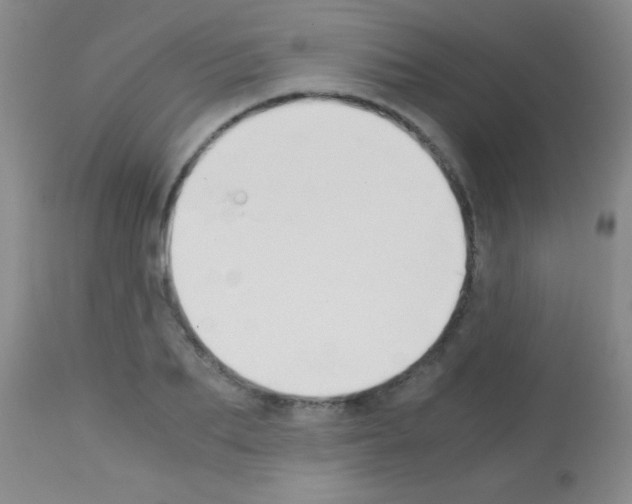 X0000113150887200910161217