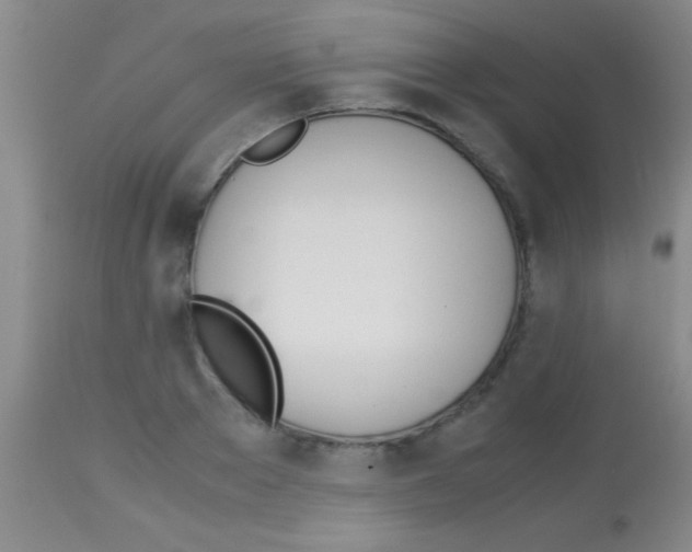 X0000113150889200910161217