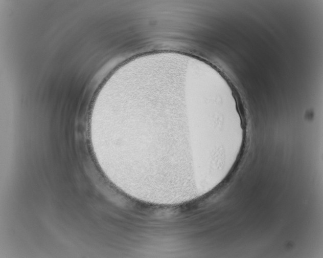 X0000113150891200910161217