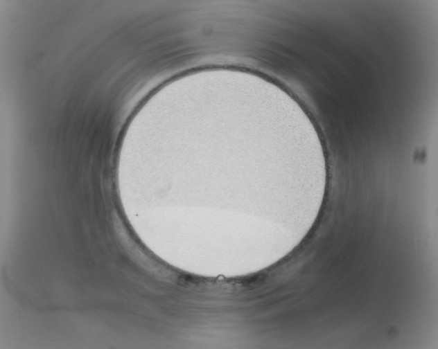 X0000113150895200910161217