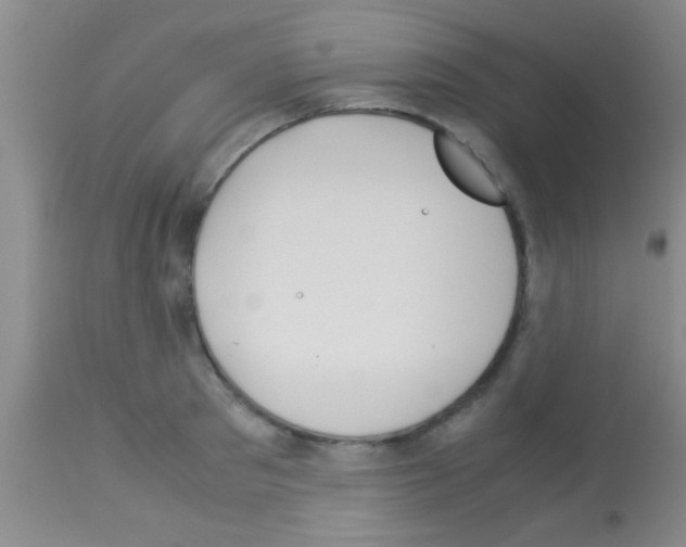 X0000113150897200910161217