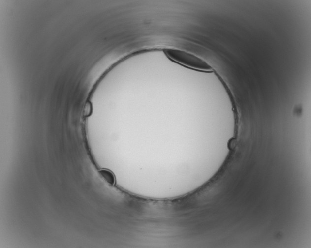 X0000113150901200910161217