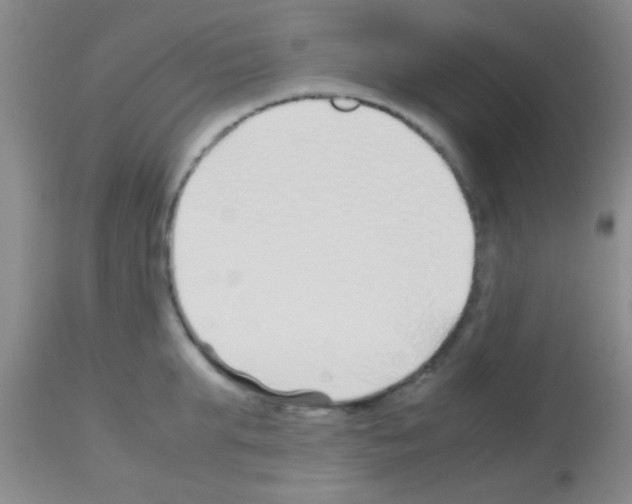 X0000113150903200910161217