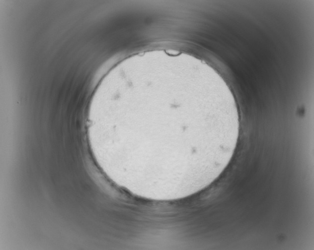 X0000113150907200910161217