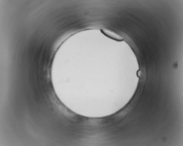 X0000113150908200910161217