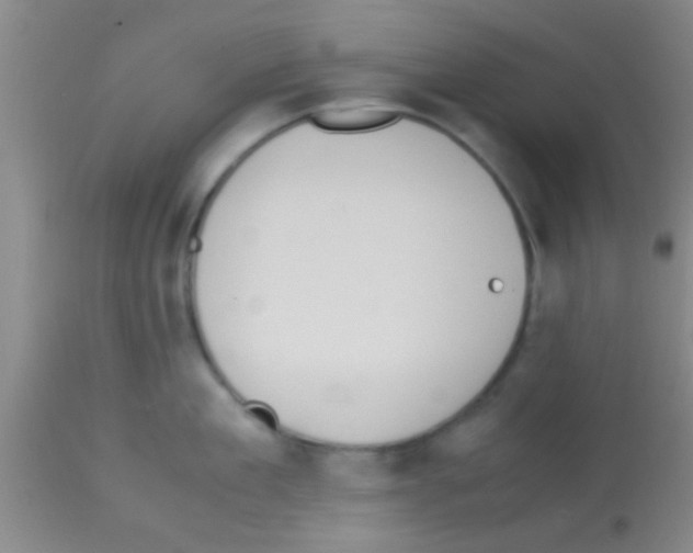 X0000113150909200910161217