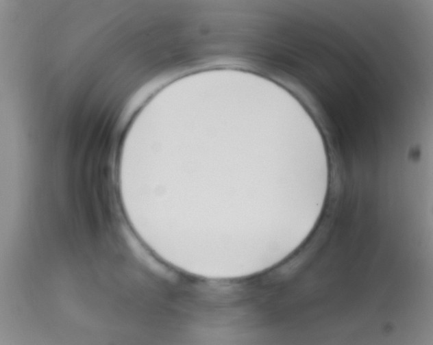 X0000113150910200910161217