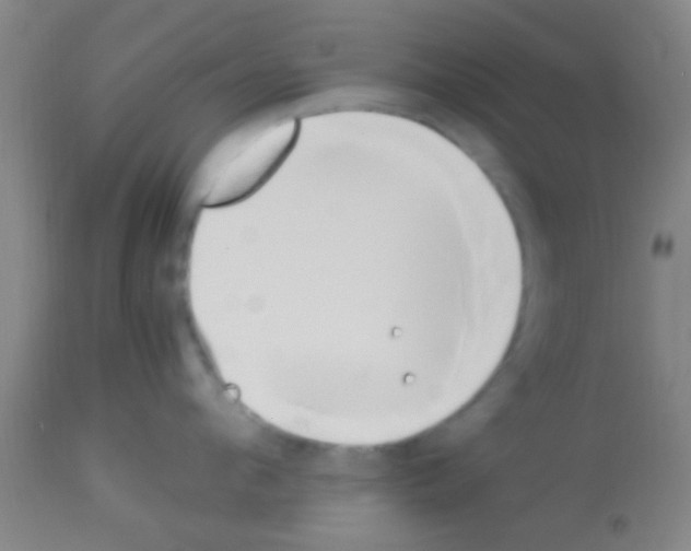 X0000113150912200910161217