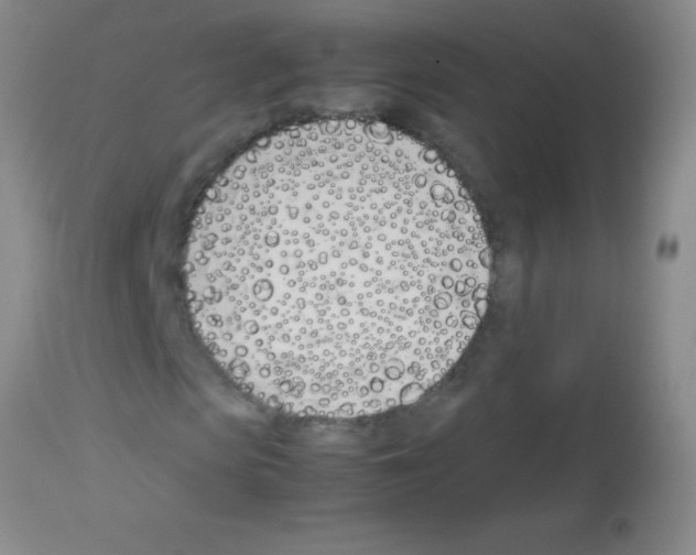 X0000113150913200910161216