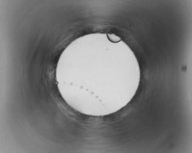 X0000113150914200910161216