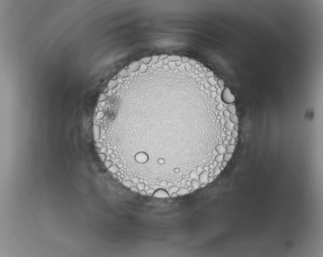 X0000113150917200910161216