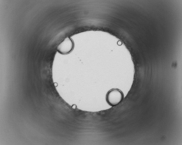 X0000113150918200910161216