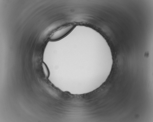 X0000113150920200910161216