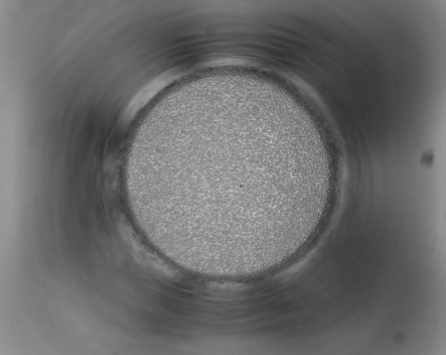 X0000113150921200910161216