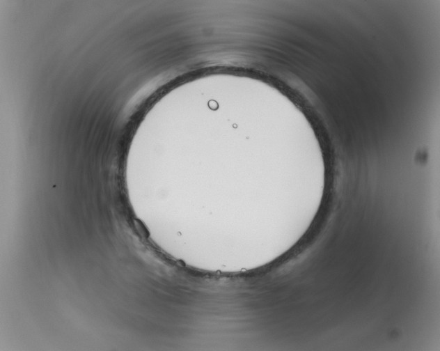 X0000113150922200910161216