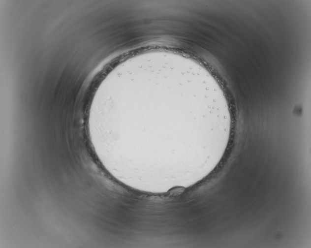 X0000113150923200910161216