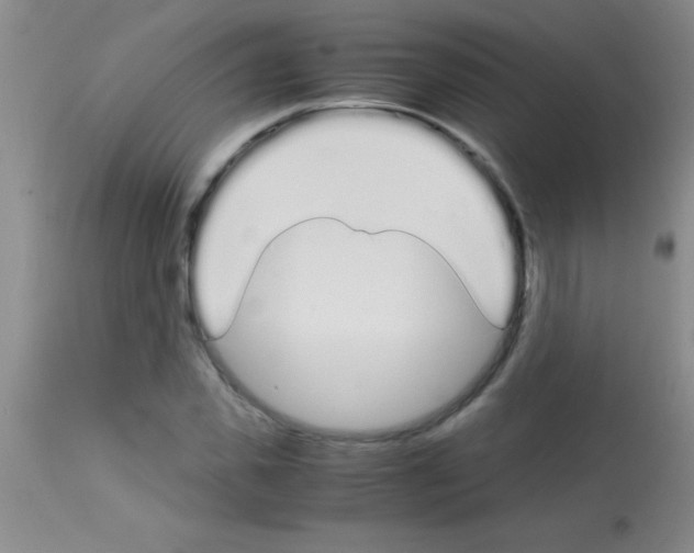 X0000113150925200910161216