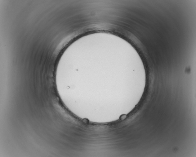 X0000113150930200910161217