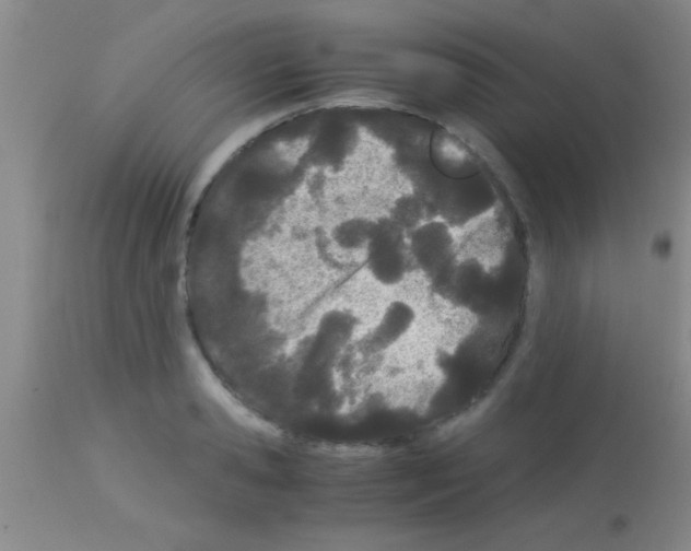 X0000113150941200910161217