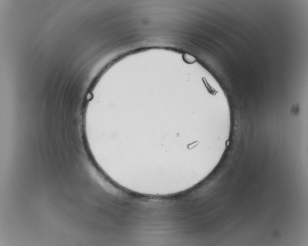 X0000113150942200910161217