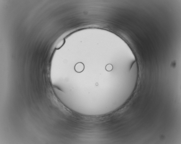 X0000113150948200910161217