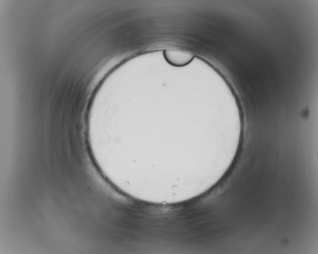 X0000113150949200910161217