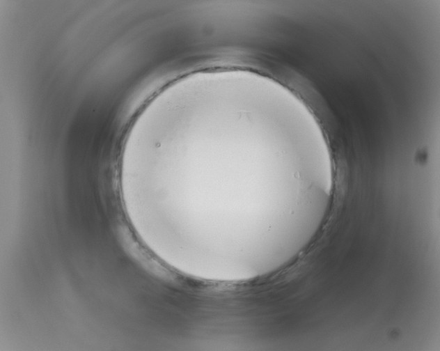 X0000113150950200910161217