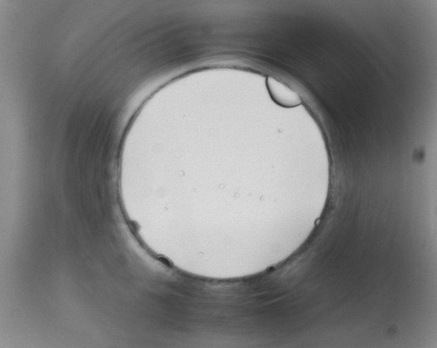 X0000113150951200910161217