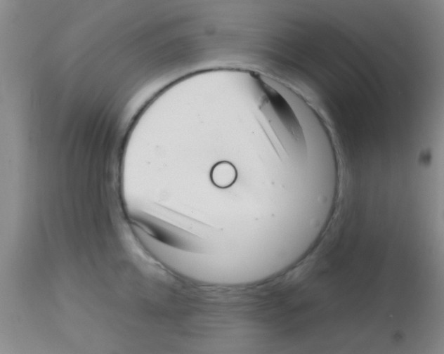 X0000113150952200910161217