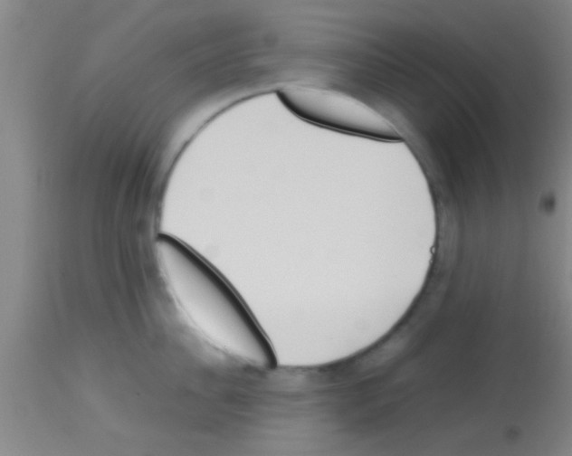 X0000113150956200910161217