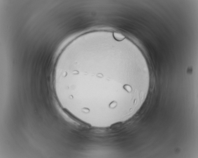 X0000113150959200910161217