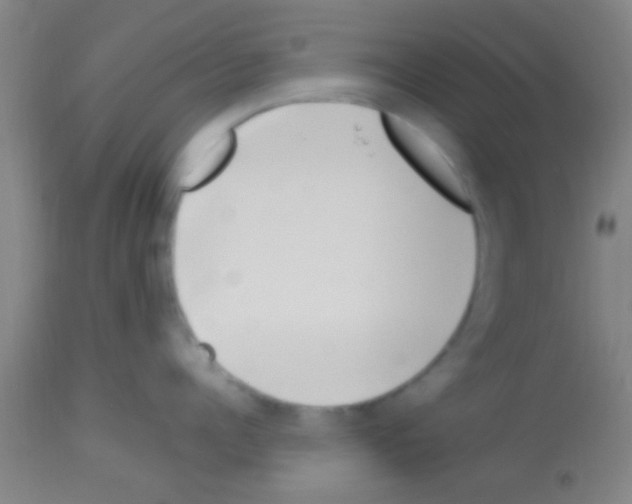 X0000113150960200910161217