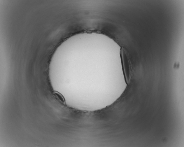 X0000113150961200910161216