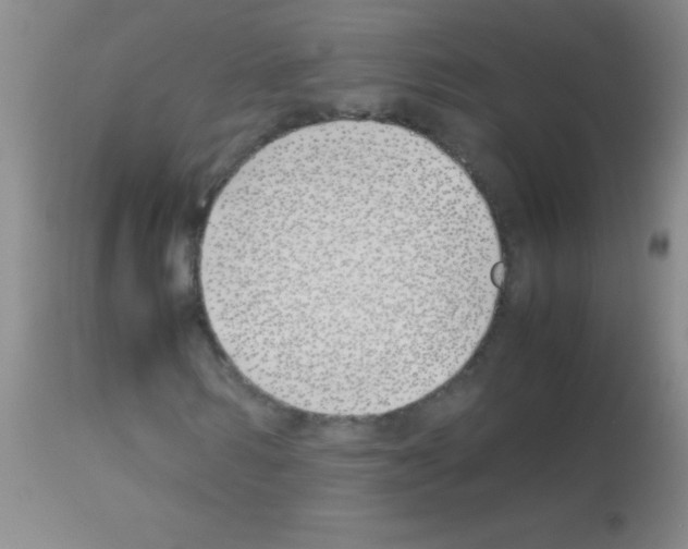 X0000113150962200910161216