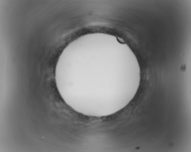 X0000113150965200910161216