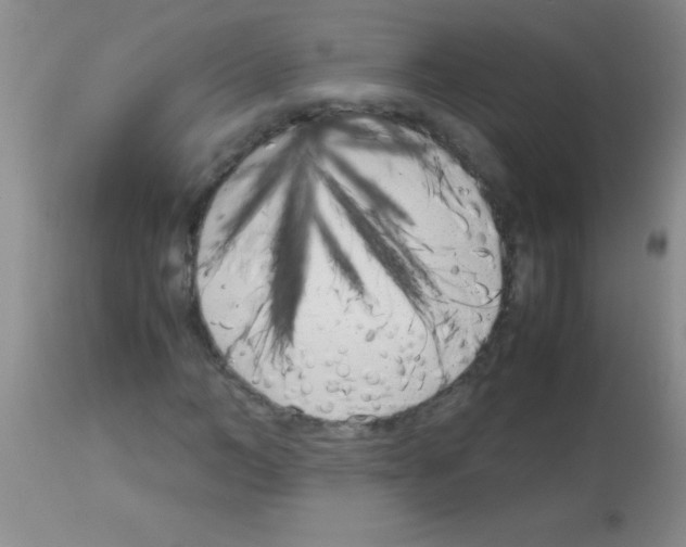 X0000113150966200910161216